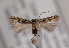  ( - TLMF Lep 01909)  @13 [ ] Copyright  TLMF 2010 Unspecified