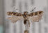  ( - TLMF Lep 01910)  @14 [ ] Copyright  TLMF 2010 Unspecified