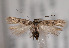  ( - TLMF Lep 01911)  @14 [ ] Copyright  TLMF 2010 Unspecified