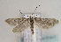 ( - TLMF Lep 01917)  @14 [ ] Copyright  TLMF 2010 Unspecified