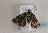  ( - TLMF Lep 01922)  @12 [ ] Copyright  TLMF 2010 Unspecified