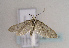 ( - TLMF Lep 01924)  @13 [ ] Copyright  TLMF 2010 Unspecified