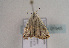  ( - TLMF Lep 01945)  @13 [ ] Copyright  TLMF 2010 Unspecified