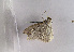  ( - TLMF Lep 01963)  @12 [ ] Copyright  TLMF 2010 Unspecified