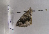  ( - TLMF Lep 01971)  @12 [ ] Copyright  TLMF 2010 Unspecified