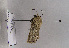 ( - TLMF Lep 01980)  @12 [ ] Copyright  TLMF 2010 Unspecified