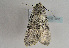  ( - TLMF Lep 01982)  @13 [ ] Copyright  TLMF 2010 Unspecified