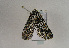  ( - TLMF Lep 01983)  @13 [ ] Copyright  TLMF 2010 Unspecified