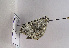  ( - TLMF Lep 01985)  @12 [ ] Copyright  TLMF 2010 Unspecified