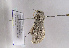  ( - TLMF Lep 01996)  @13 [ ] Copyright  TLMF 2010 Unspecified