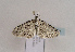  ( - TLMF Lep 02001)  @13 [ ] Copyright  TLMF 2010 Unspecified