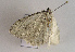  ( - TLMF Lep 02003)  @12 [ ] Copyright  TLMF 2010 Unspecified