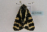  ( - TLMF Lep 02008)  @13 [ ] Copyright  TLMF 2010 Unspecified