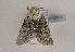  ( - TLMF Lep 02024)  @12 [ ] Copyright  TLMF 2010 Unspecified