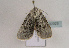  ( - TLMF Lep 02025)  @12 [ ] Copyright  TLMF 2010 Unspecified