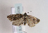 ( - TLMF Lep 02036)  @13 [ ] Copyright  TLMF 2011 Unspecified
