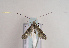  ( - TLMF Lep 02065)  @14 [ ] Copyright  TLMF 2040 Unspecified