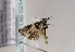  ( - TLMF Lep 02148)  @12 [ ] Copyright  TLMF 2123 Unspecified