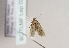  ( - TLMF Lep 02278)  @12 [ ] Copyright  TLMF 2253 Unspecified