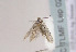  ( - TLMF Lep 02289)  @12 [ ] Copyright  TLMF 2011 Unspecified