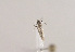  ( - TLMF Lep 02299)  @12 [ ] Copyright  TLMF 2011 Unspecified