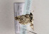  ( - TLMF Lep 02320)  @12 [ ] Copyright  TLMF 2011 Unspecified