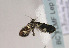  ( - TLMF Lep 02350)  @13 [ ] Copyright  TLMF 2011 Unspecified