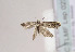  ( - TLMF Lep 02358)  @13 [ ] Copyright  TLMF 2011 Unspecified