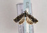  ( - TLMF Lep 02373)  @13 [ ] Copyright  TLMF 2011 Unspecified
