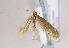  ( - TLMF Lep 02378)  @14 [ ] Copyright  TLMF 2011 Unspecified