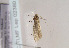  ( - TLMF Lep 02380)  @13 [ ] Copyright  TLMF 2011 Unspecified