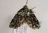  ( - TLMF Lep 02385)  @12 [ ] Copyright  TLMF 2011 Unspecified