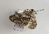  ( - TLMF Lep 02405)  @11 [ ] Copyright  TLMF 2011 Unspecified