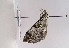  ( - TLMF Lep 02416)  @12 [ ] Copyright  TLMF 2011 Unspecified