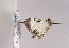  ( - TLMF Lep 02447)  @12 [ ] Copyright  TLMF 2011 Unspecified