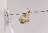  ( - TLMF Lep 02448)  @12 [ ] Copyright  TLMF 2011 Unspecified