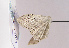  ( - TLMF Lep 02499)  @14 [ ] Copyright  TLMF 2011 Unspecified