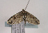  ( - TLMF Lep 02501)  @12 [ ] Copyright  TLMF 2011 Unspecified