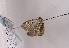  ( - TLMF Lep 02504)  @12 [ ] Copyright  TLMF 2011 Unspecified