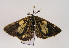  ( - TLMF Lep 02508)  @12 [ ] Copyright  TLMF 2011 Unspecified
