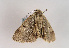  ( - TLMF Lep 02515)  @13 [ ] Copyright  TLMF 2011 Unspecified