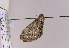  ( - TLMF Lep 02551)  @12 [ ] Copyright  TLMF 2011 Unspecified