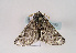  ( - TLMF Lep 02580)  @13 [ ] Copyright  TLMF 2011 Unspecified