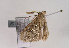  ( - TLMF Lep 02581)  @13 [ ] Copyright  TLMF 2011 Unspecified