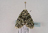  ( - TLMF Lep 02588)  @12 [ ] Copyright  TLMF 2011 Unspecified