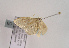  ( - TLMF Lep 02597)  @12 [ ] Copyright  TLMF 2011 Unspecified