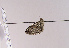  ( - TLMF Lep 02603)  @12 [ ] Copyright  TLMF 2011 Unspecified