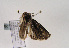  ( - TLMF Lep 02624)  @12 [ ] Copyright  TLMF 2011 Unspecified