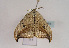  ( - TLMF Lep 02684)  @13 [ ] Copyright  TLMF 2011 Unspecified
