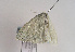  ( - TLMF Lep 02688)  @12 [ ] Copyright  TLMF 2011 Unspecified